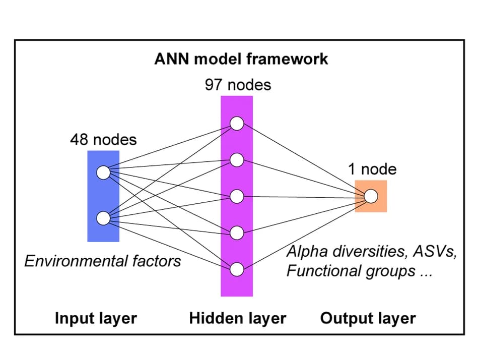 Open access visualization of Network, Pathway, ANN Models, Input Data, Output Data