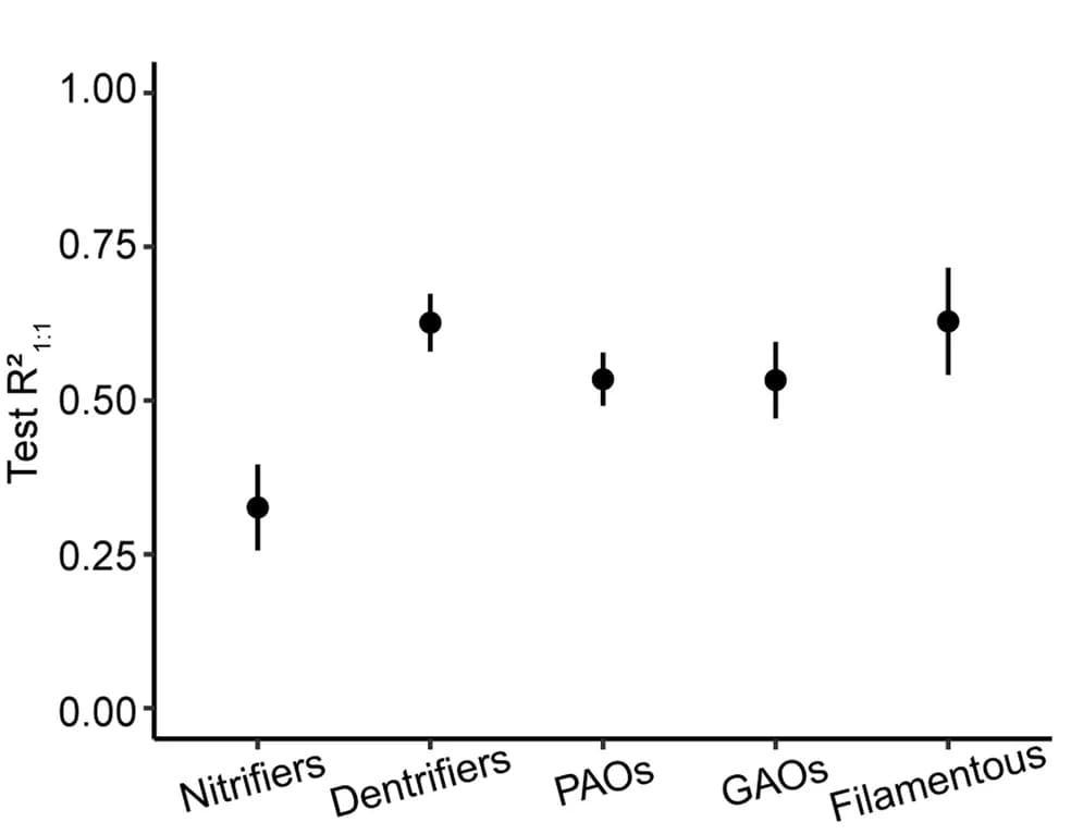 Open access visualization of Scatter Plot, Error Bars, Nitrifiers, Denitrifiers, PAOs
