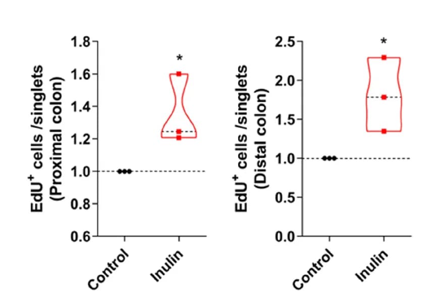 Open access visualization of Violin Plot, Box Plot, Scatter Plot, EdU-positive Cells, Flow Cytometry