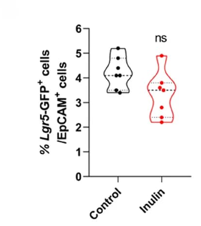 Open access visualization of Violin Plot, Quantification, Lgr5-GFP-positive cells, Colon, Flow Cytometry