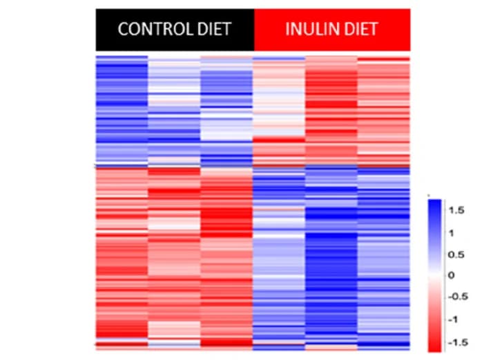 Open access visualization of Heatmap, Colon Epithelial Cells, Transcriptome Analysis, Differentially Expressed Genes