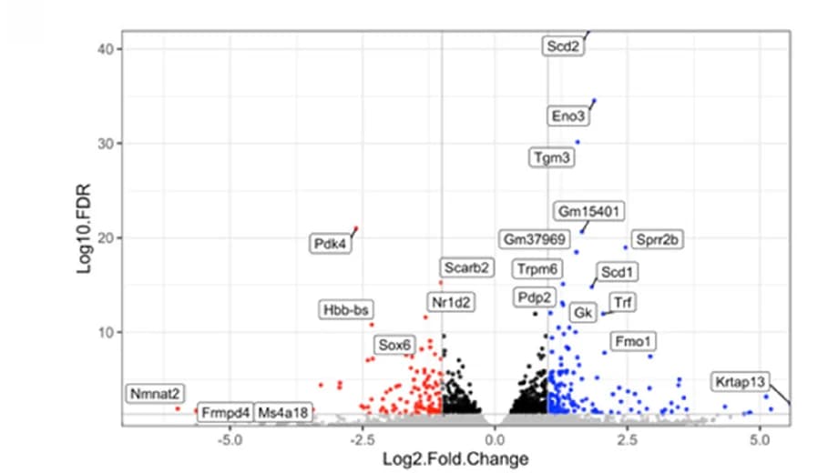 Open access visualization of Volcano Plot, Scatter Plot, Differentially Expressed Genes, Inulin Diet