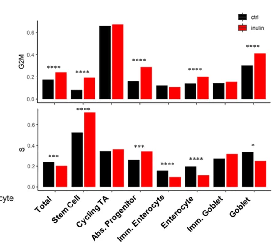 Open access visualization of Bar Plot, Clustered, Cell Cycle Genes, S Phase, G2/M Phase