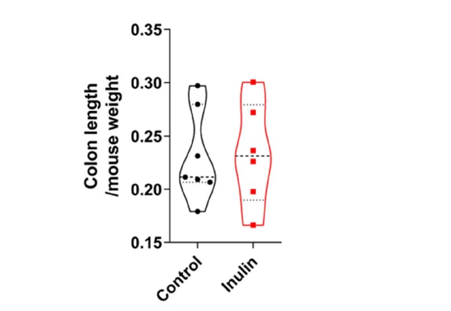 Open access visualization of Violin Plot, Colon length, Mice weight