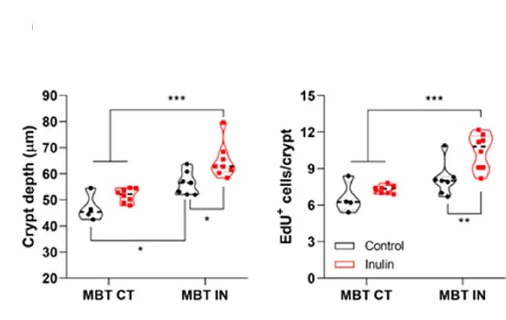 Open access visualization of Violin Plot, Colon Crypt Depth, EdU-positive Cells, Two-way ANOVA