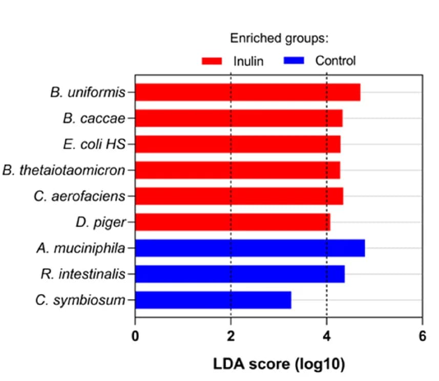 Open access visualization of Bar Plot, Clustered, LEfSe Analysis, LDA Score, Relative Abundance
