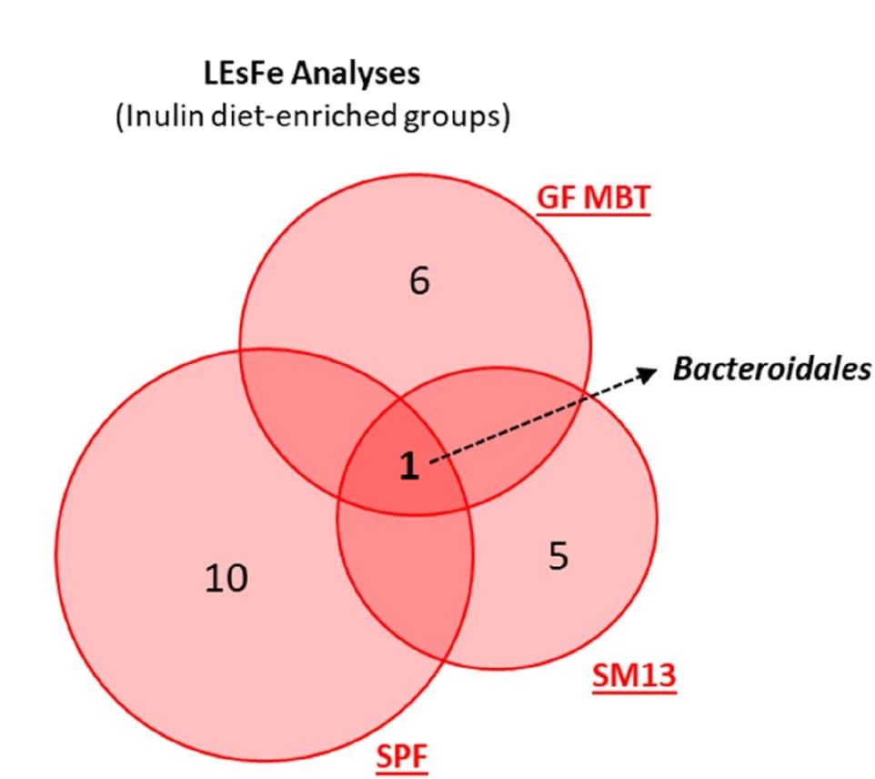 Open access visualization of Venn Diagram, Venn Diagrams, Microbiota Experiments, Bacterial Groups, LEfSe Analysis