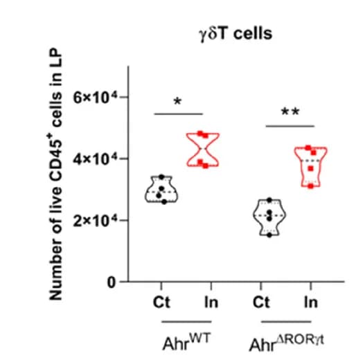 Open access visualization of Violin Plot, Box Plot, Colon Length