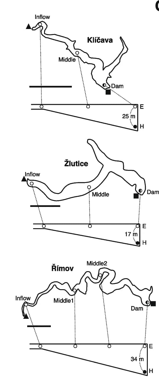 Open access visualization of Geo Map, Reservoirs, Sampling Stations, Epilimnion, Hypolimnion