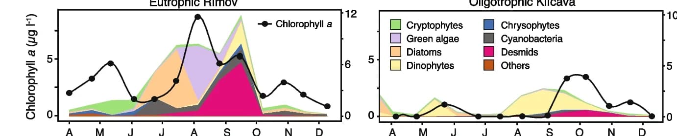 Open access visualization of Line Plot, Line Step, Chlorophyll a Concentration, Phytoplankton Biomass