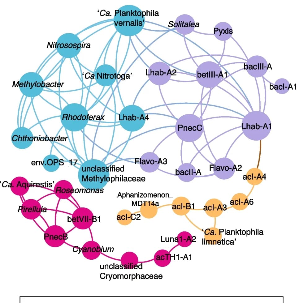 Open access visualization of Network, Bacterial Groups, Association Network, Modularity Class, Correlation Coefficient