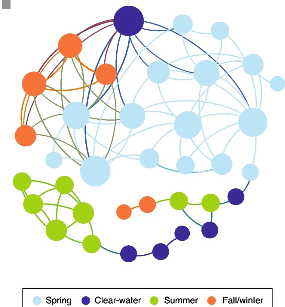 Open access visualization of Network, Pathway, Bacterial Groups, Association Network, Seasonality