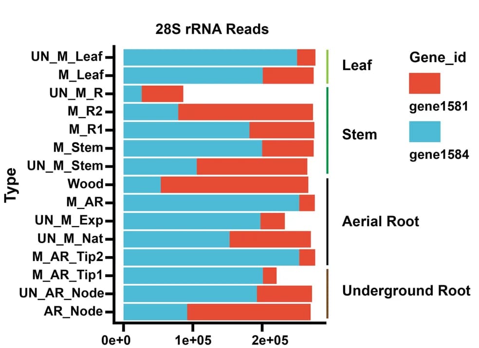 Open access visualization of Stacked Bar Plot, Bar Plot, rRNA genes, Plant tissues, Aerial root