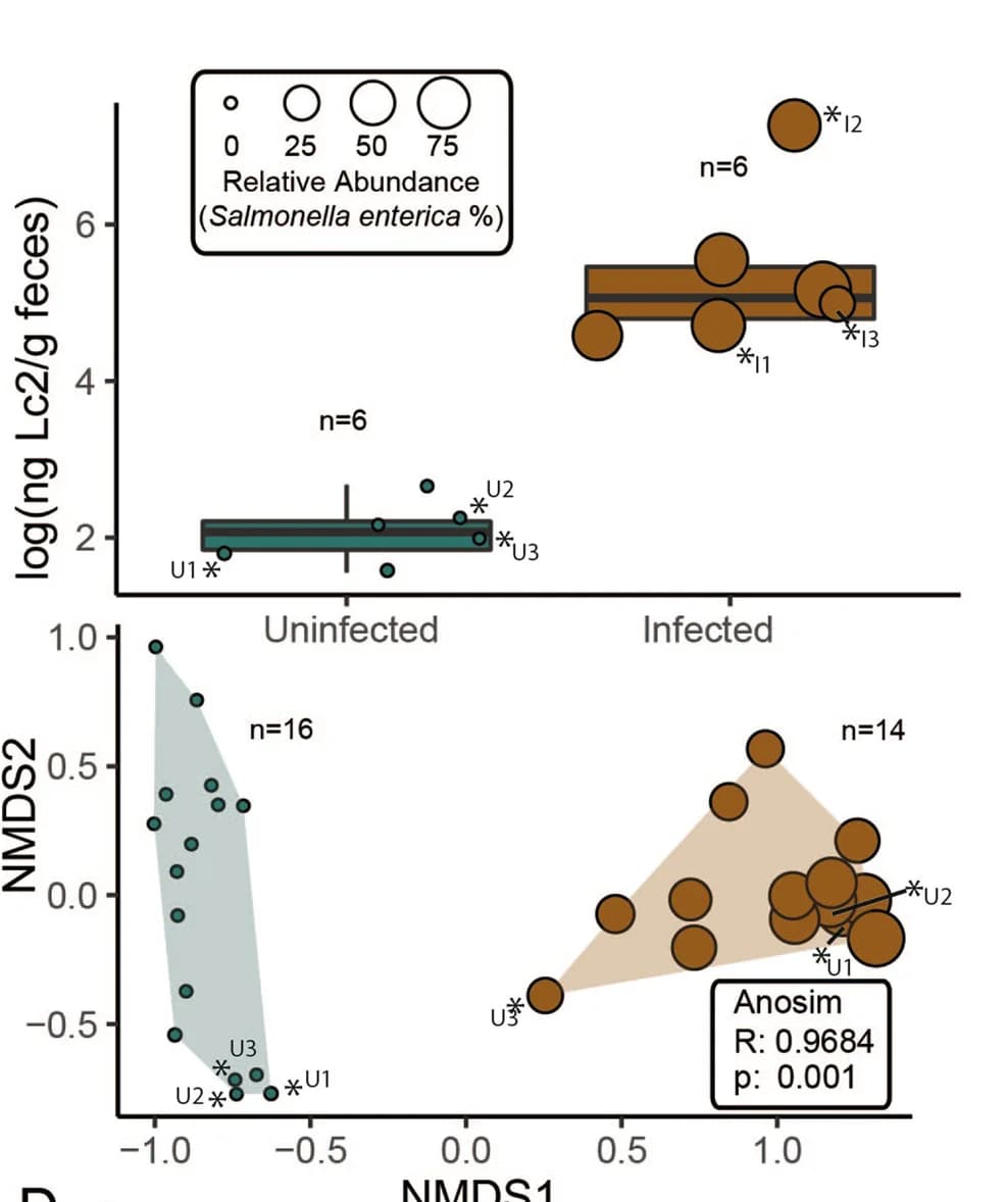 Open access visualization of Bubble Plot, Box Plot, Scatter Plot, Boxplots, Lipocalin-2