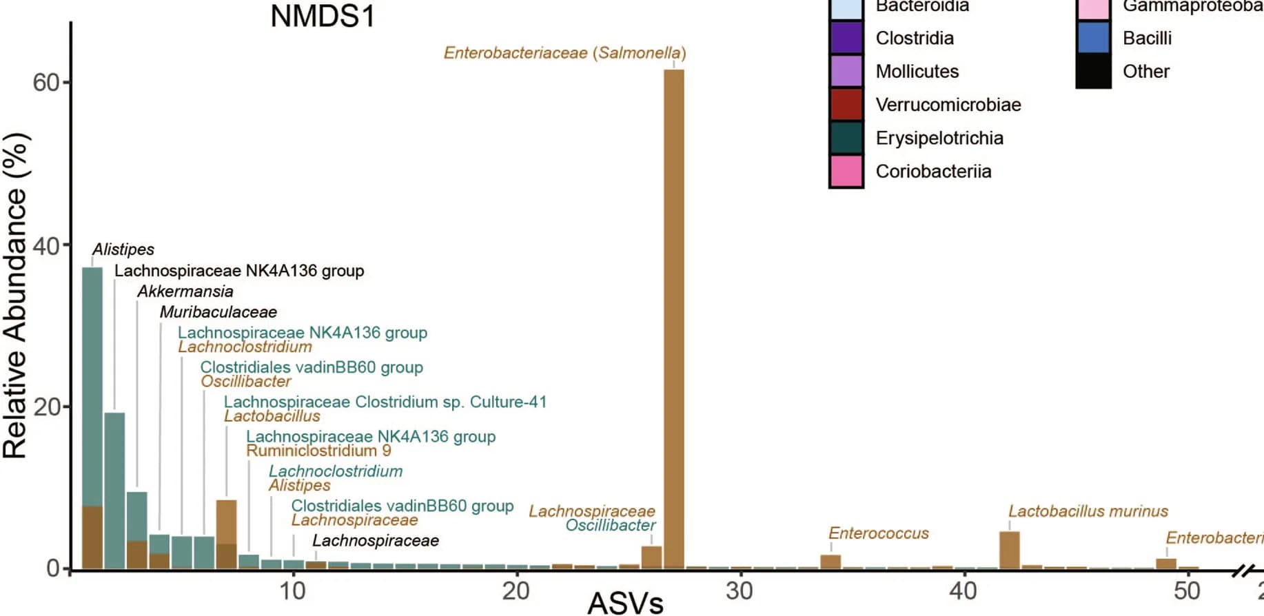 Open access visualization of Stacked Bar Plot, Rank abundance curve, ASV relative abundance, Mice, Inflammation
