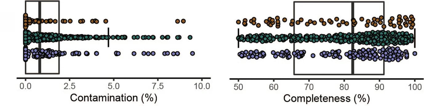 Open access visualization of Box Plot, Scatter Plot, Completeness, Contamination, MAGs