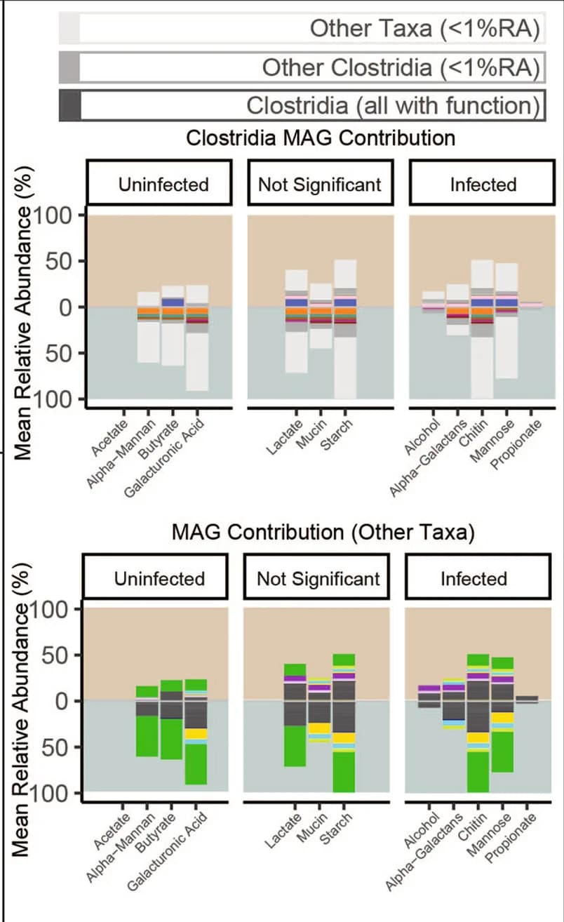 Open access visualization of Stacked Bar Plot, Clustered, Clostridia, Functions, Taxa