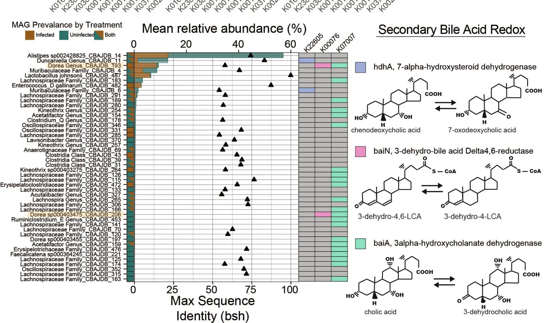 Open access visualization of Bar Plot, Scatter Plot, Heatmap, Clustered, Illustration