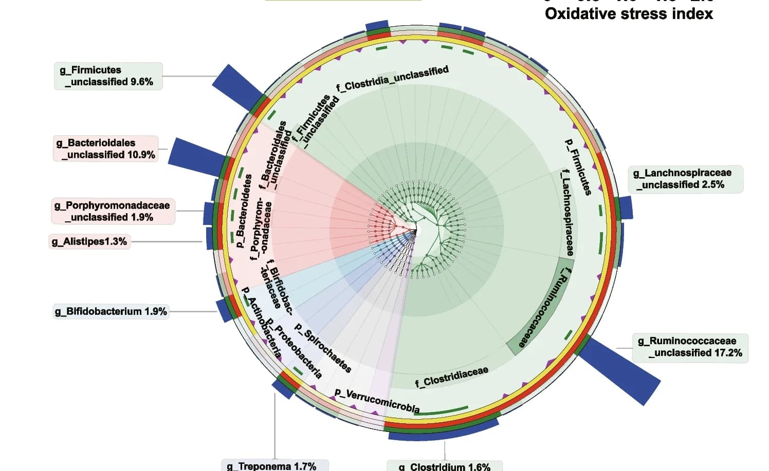 Open access visualization of Pie Chart, Network, Gut Microbiome, 16S rRNA gene sequencing, Taxonomic Tree