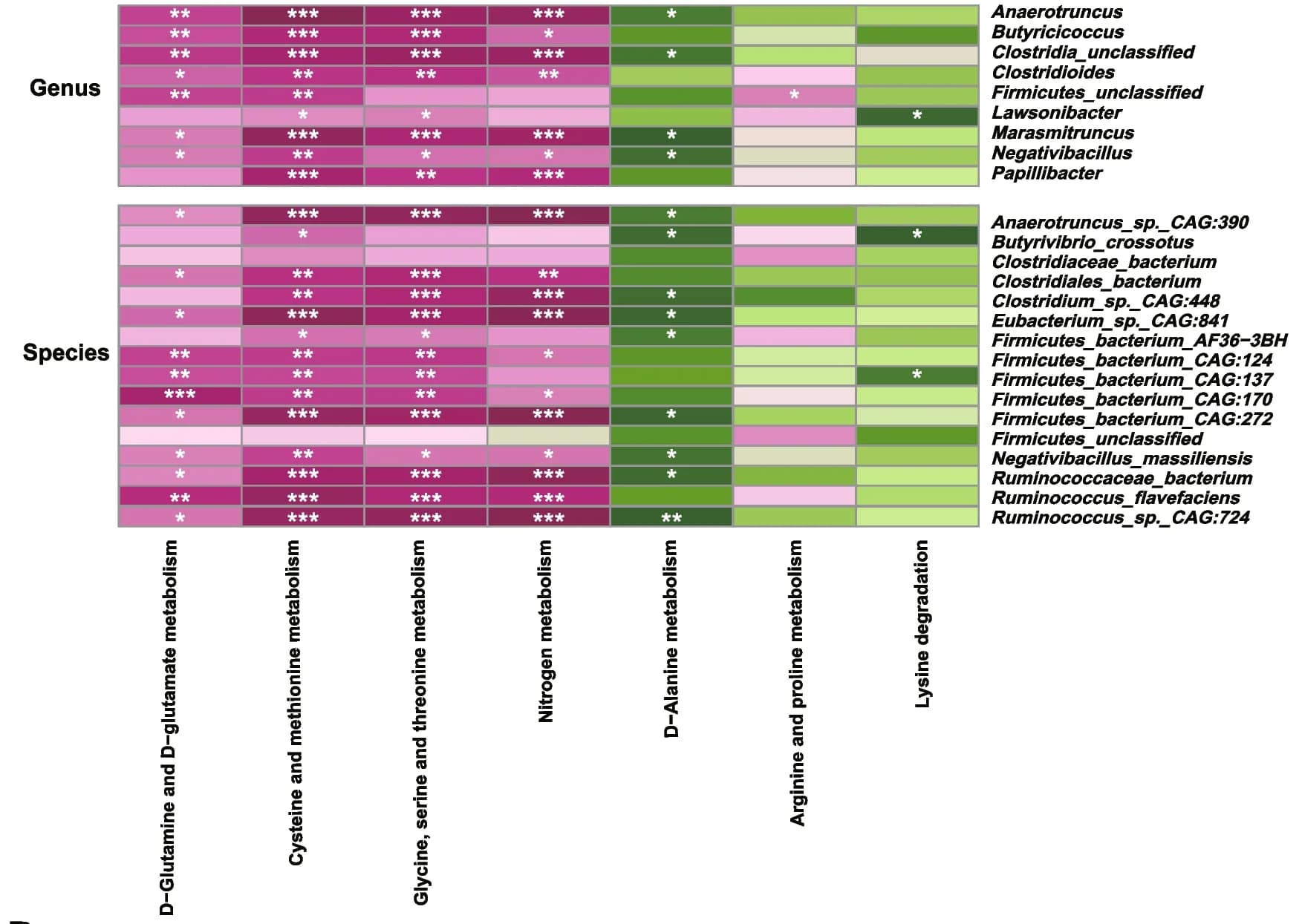 Open access visualization of Heatmap, Spearman correlations, Differential microbiota, Metabolic pathways, Oxidative stress