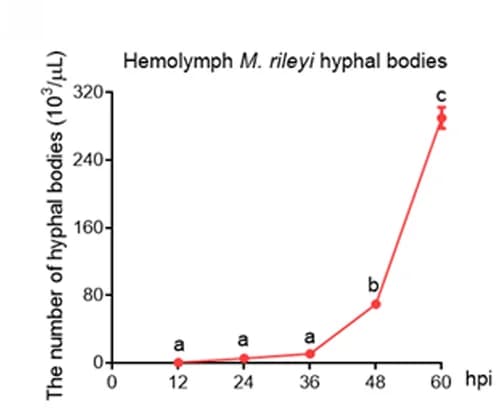 Open access visualization of Line Plot, Error Bars, Hyphal bodies, Hemolymph