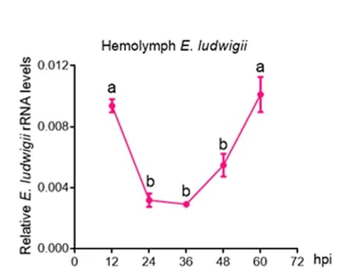 Open access visualization of Line Plot, Error Bars, E. ludwigii, Hemolymph, Larvae