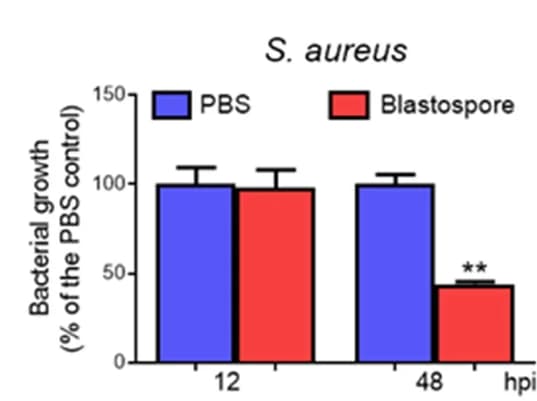 Open access visualization of Bar Plot, Error Bars, Clustered, S. Aureus, Colonies