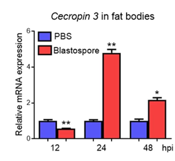 Open access visualization of Bar Plot, Error Bars, Clustered, RT-qPCR, Expression