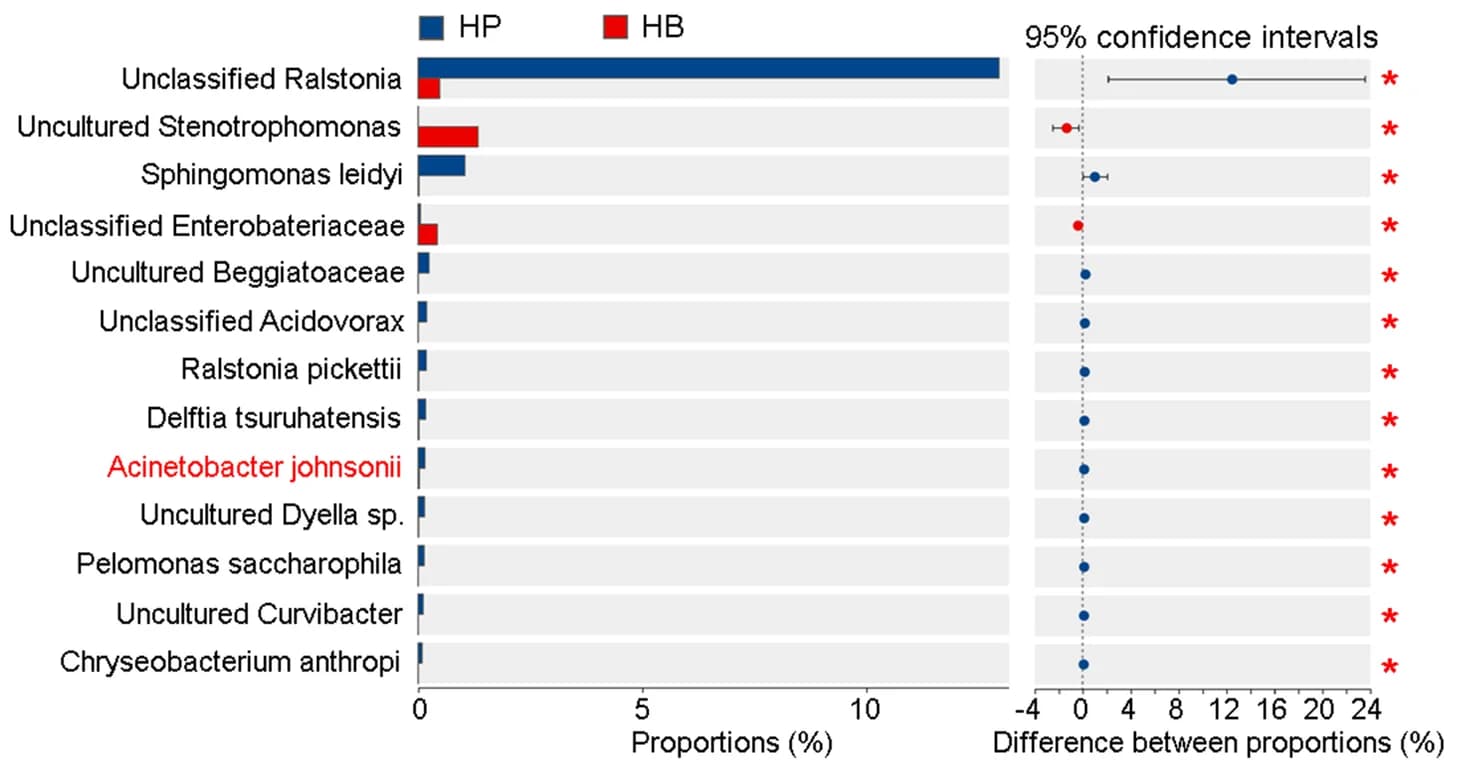 Open access visualization of Bar Plot, Error Bars, Bacterial Abundance, Hemolymph, H. armigera