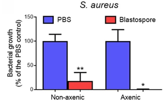 Open access visualization of Bar Plot, Error Bars, S. Aureus, Bacterial Growth, Viable Colonies