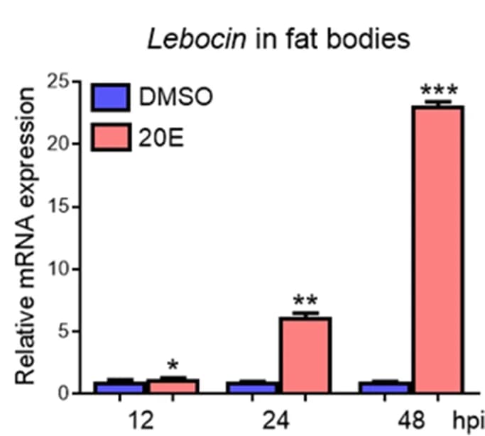 Open access visualization of Bar Plot, Error Bars, Clustered, RT-qPCR, Gloverin