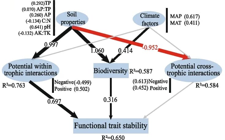 Open access visualization of Workflow, Flowchart, Direct Effects, Indirect Effects, Functional Trait Stability