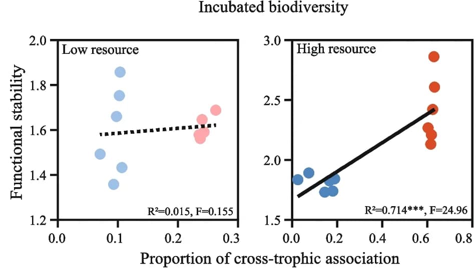 Open access visualization of Scatter Plot, Regression Plot, Trophic Association, Functional Stability, Resource Incubation