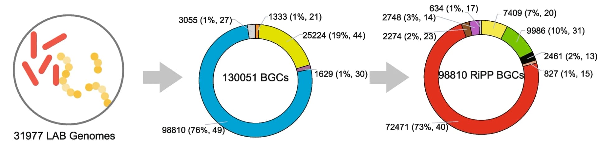 Open access visualization of Donut Chart, Illustration, LAB genomes, BGCs, Genera