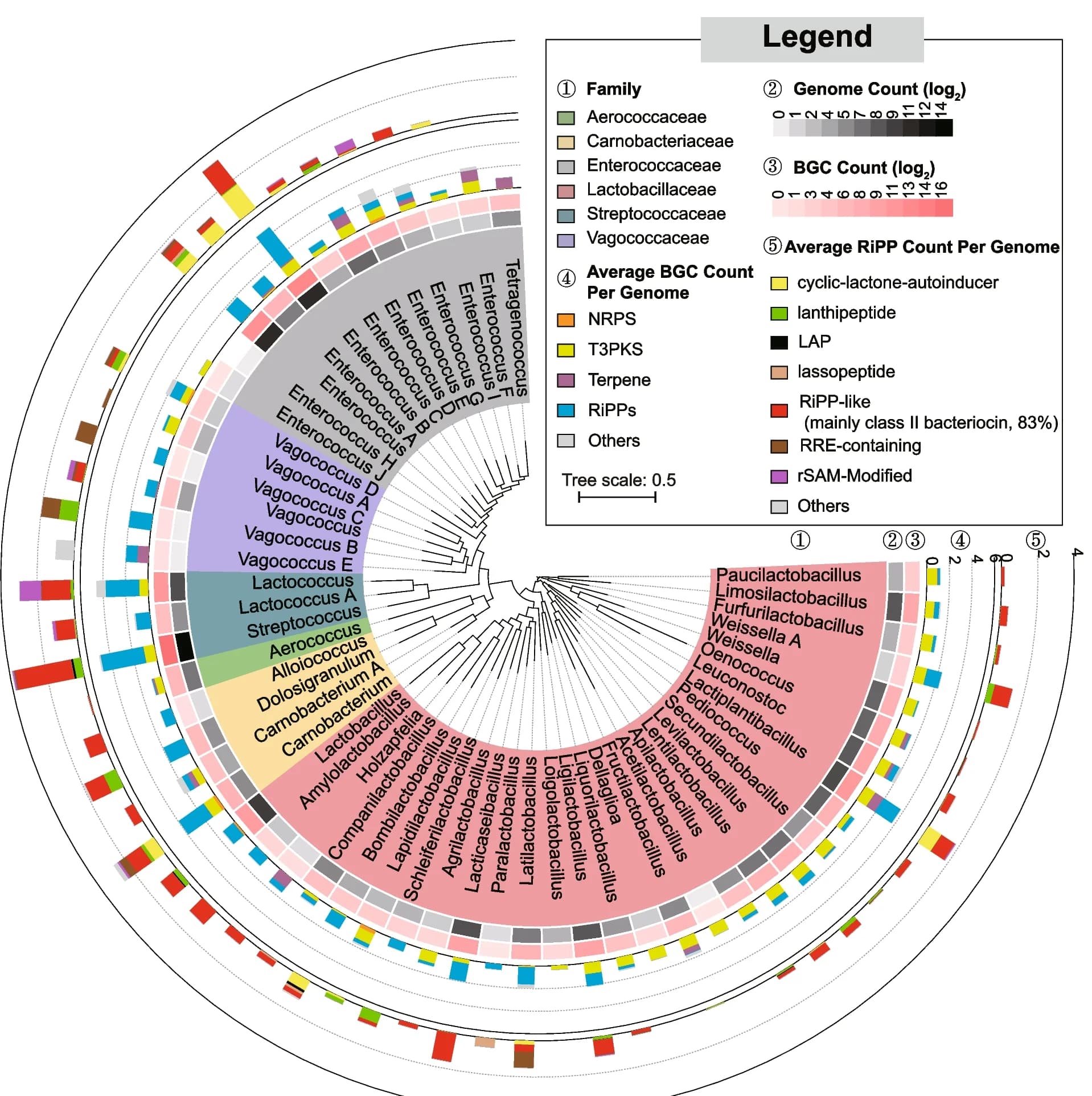 Open access visualization of Bar Plot, Heatmap, Clustered, Network, Phylogenetic Tree