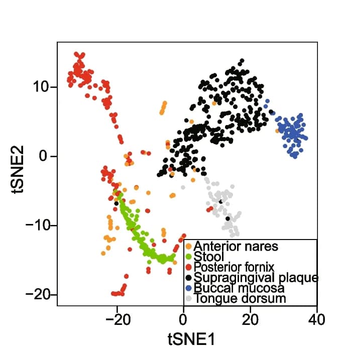 Open access visualization of Scatter Plot, UMAP, t-SNE Plot, Class II Bacteriocins, Body Sites