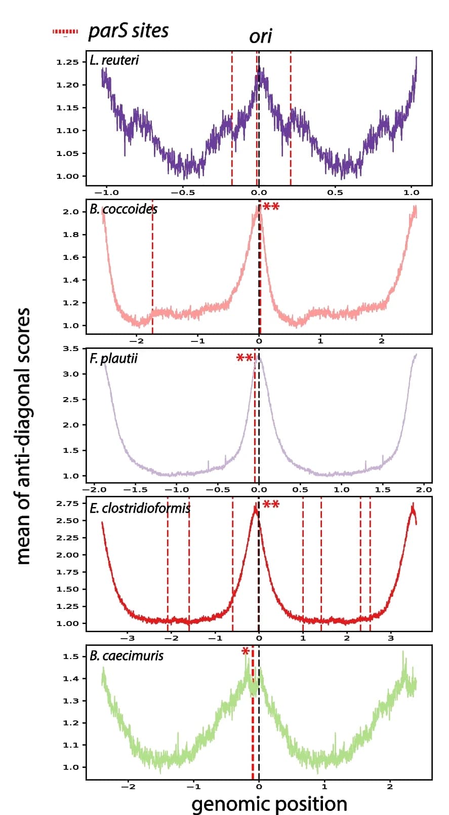 Open access visualization of Line Plot, Secondary diagonals, OMM 12 bacteria, parS sites