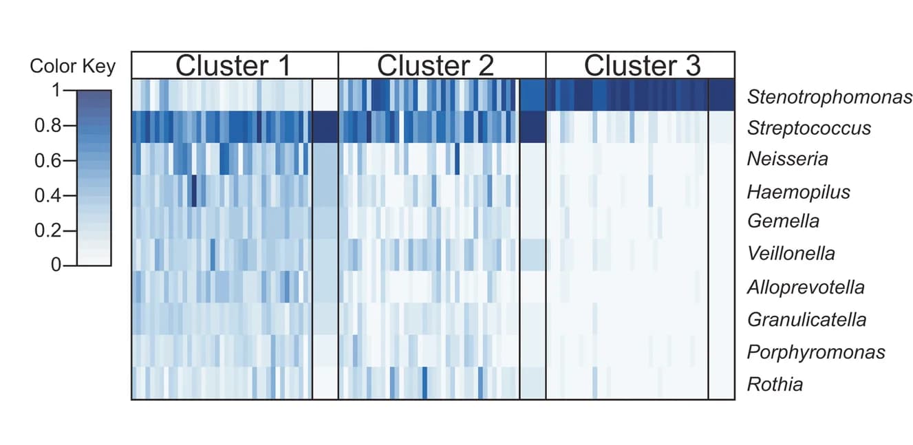 Open access visualization of Heatmap, 16S, Taxonomic Profiles, Dirichlet Component, Metacommunity
