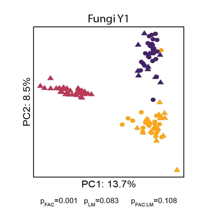 Open access visualization of Scatter Plot, PCA, Principal Component Analysis, Fungal Microbiota, Sample
