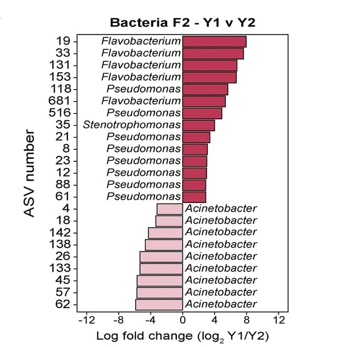 Open access visualization of Bar Plot, Bacterial ASVs, Differential Abundance, Season 1, Season 2