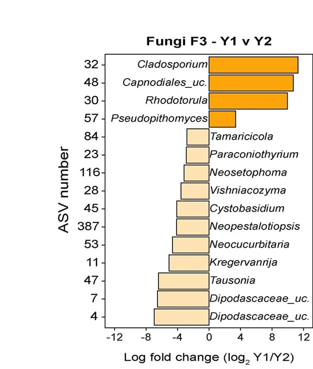 Open access visualization of Bar Plot, Fungal ASVs, Differential Abundance, Season 1, Season 2