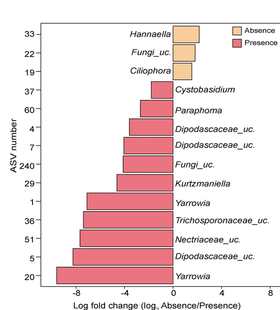 Open access visualization of Bar Plot, Fungal ASVs, Differential Abundance, L. monocytogenes-positive Samples, L. monocytogenes-negative Samples