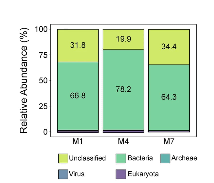 Open access visualization of Stacked Bar Plot, Nanopore reads, Environmental samples, Tree fruit packing houses, Kingdom level classification
