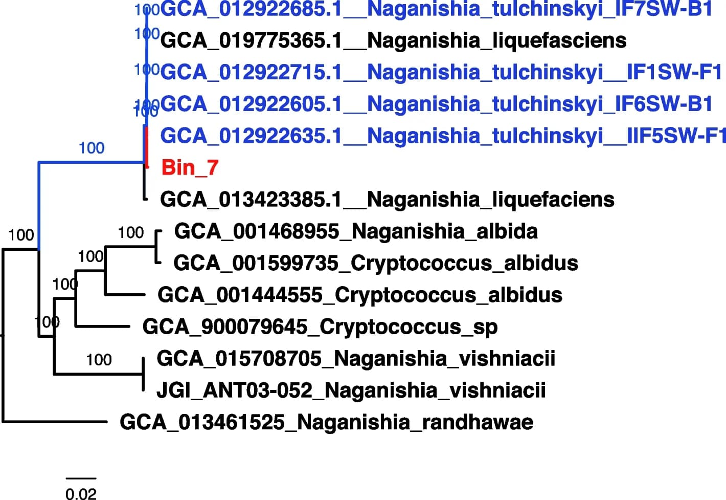 Open access visualization of Line Plot, Phylogeny, MAG, Tremellomycetes, Naganishia