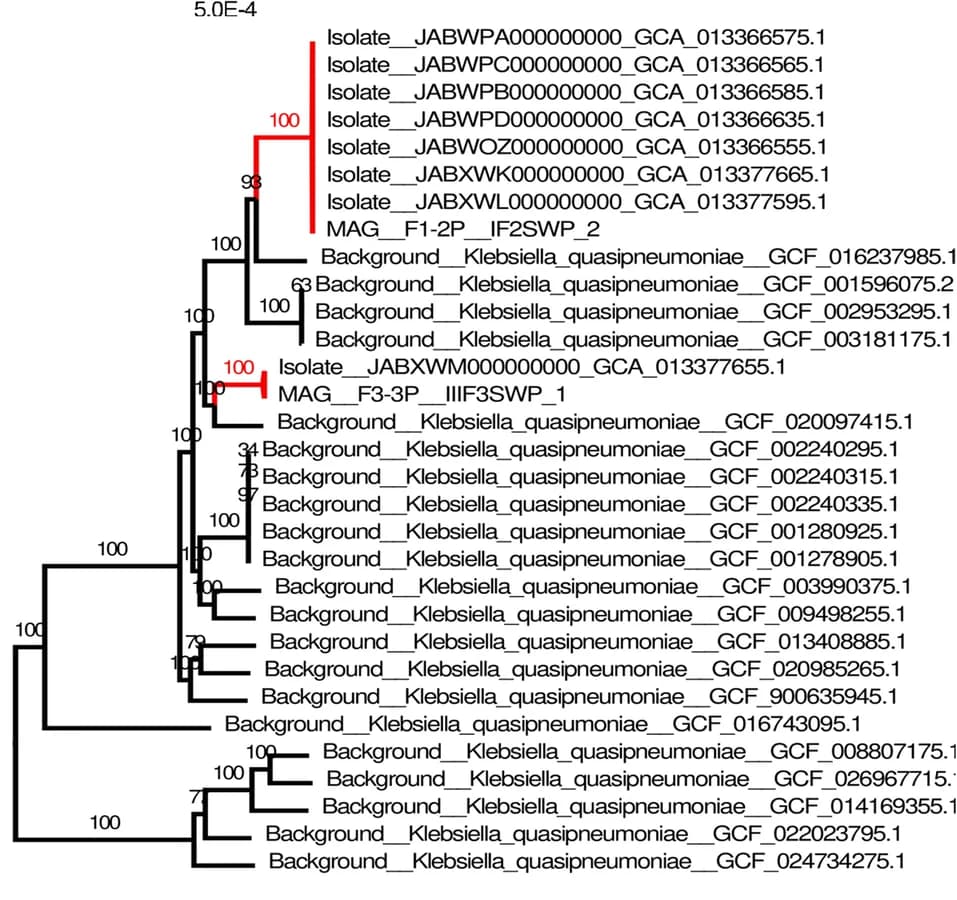 Open access visualization of Network, Phylogenetic Trees, Klebsiella quasipneumoniae, ISS Genomes