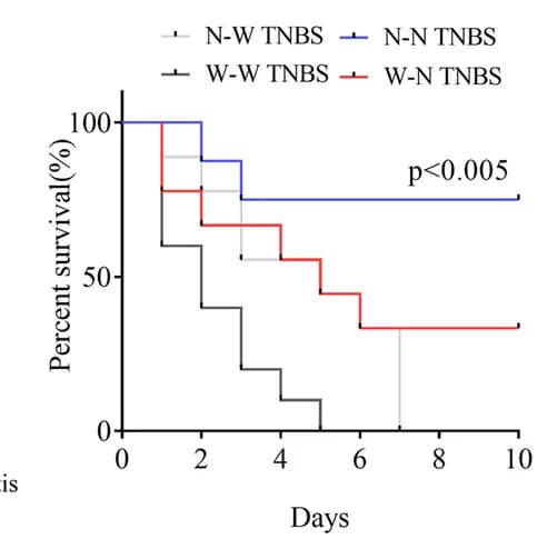 Open access visualization of Survival Curve, Line Step, Line Plot, Survival Rate, Mice