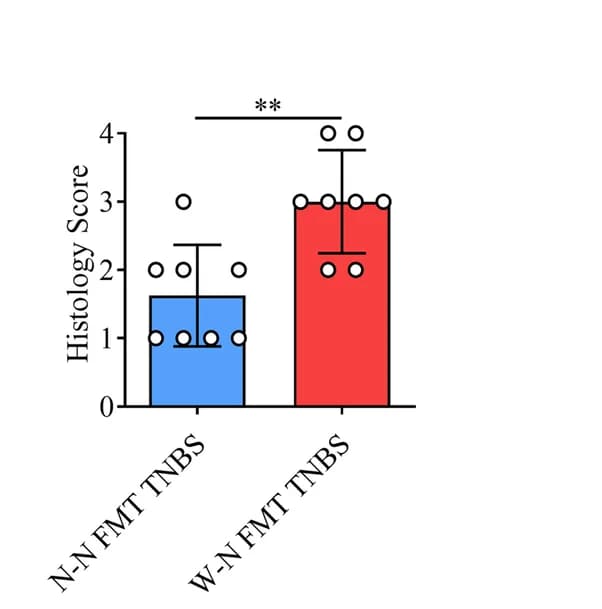 Open access visualization of Bar Plot, Error Bars, Histology Score, Colon, Inflammation