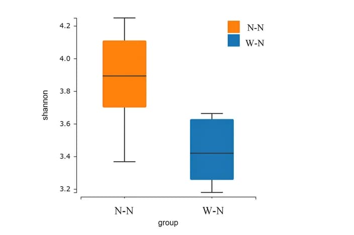Open access visualization of Box Plot, α-diversity, Gut Microbiota, Shannon Index