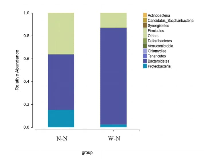 Open access visualization of Stacked Bar Plot, Gut Microbiota, Phylum Level, Relative Abundance