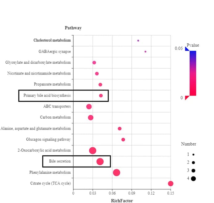 Open access visualization of Scatter Plot, Pathway, KEGG Pathway, Metabolites, Enrichment Analysis